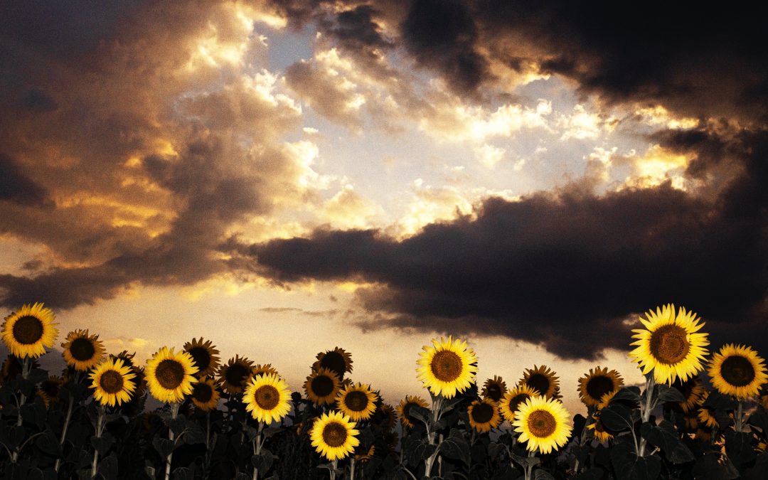 A Year of Unveiling:                     Embracing God’s Infinite Love