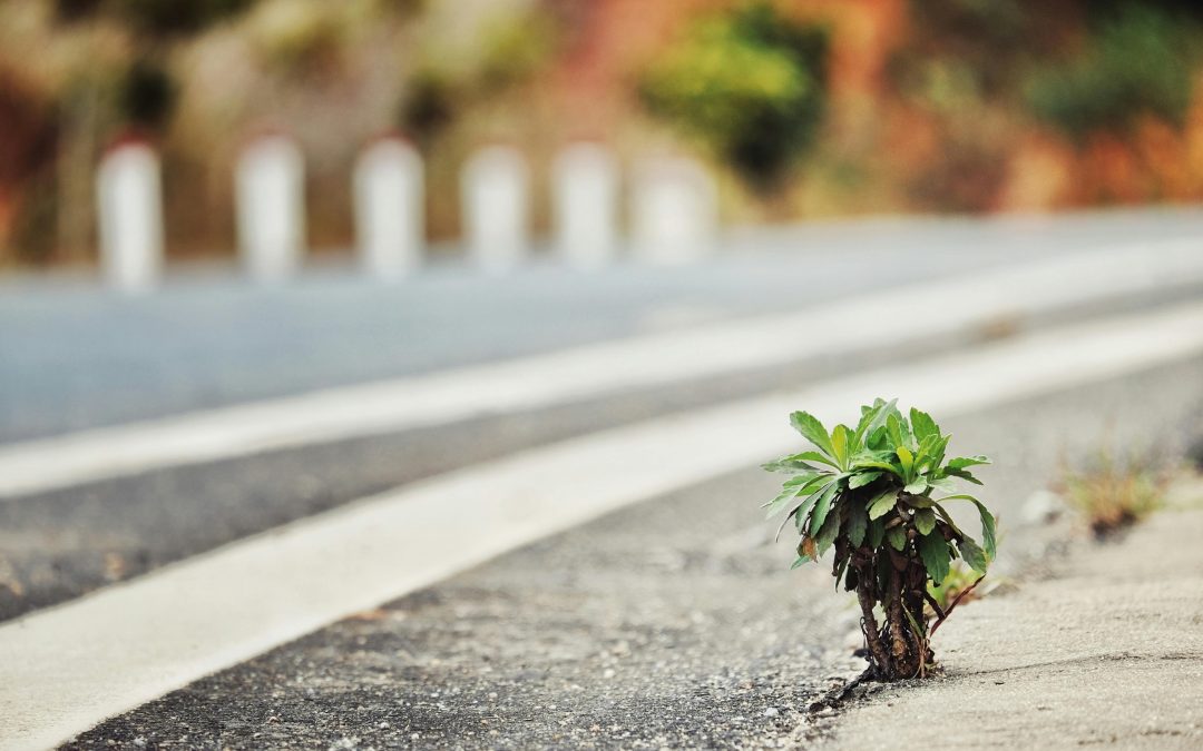 Biblical Boundaries: How God Calls Us to Set Limits with Love